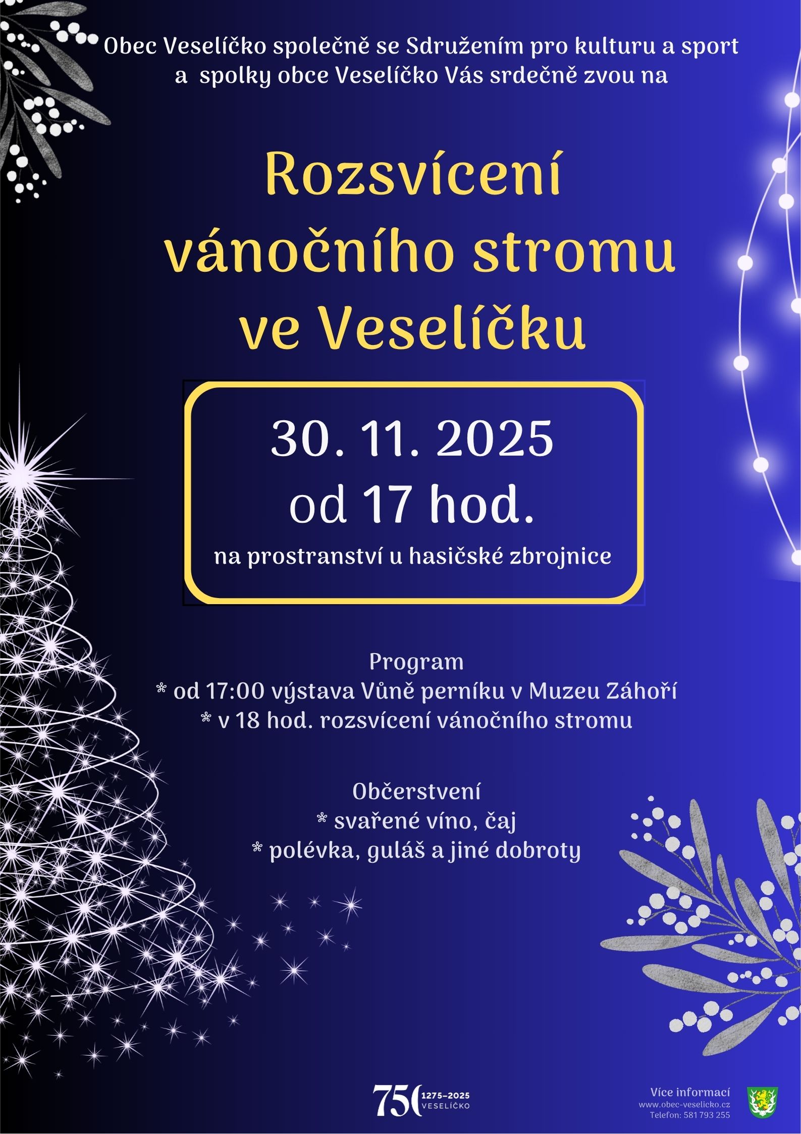 rozsvícení vánočního stromu